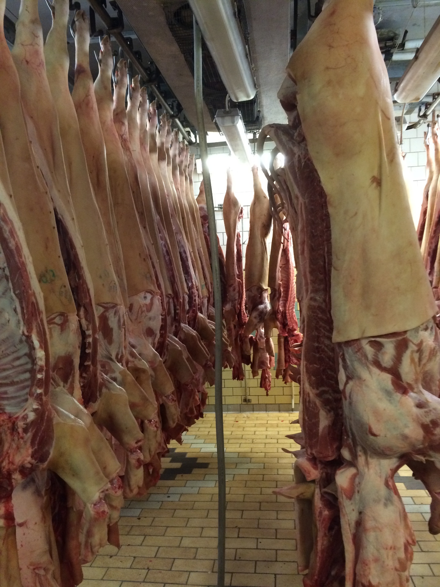 Slaktar, styckar och gör korv & rökta produkter varje vecka — alltid färska råvaror